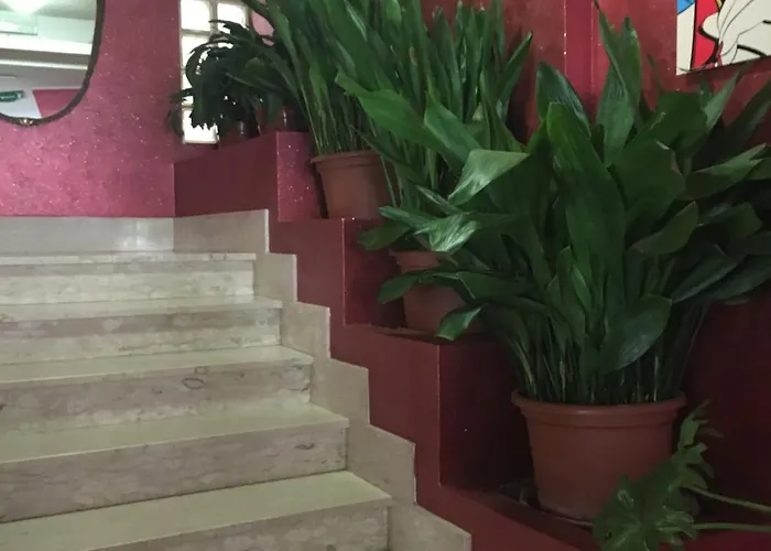 מלון De Amicis ריצ'יונה